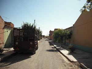 BEDEAU RAS EL MA AOUT 2009 (20)